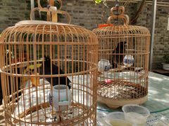 -伊隆斋(什刹海店)