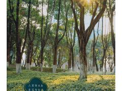 -重庆中央公园(渝北区)