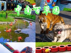 -安吉竹博园