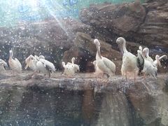 -广东省拱北口岸中国旅行社(华宾营业部)