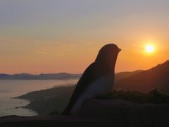 -燕窝岭
