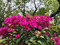 -南京东郊国宾馆