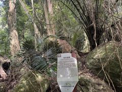 -霸王岭国家森林公园