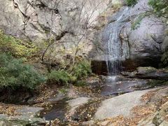 -王顺山国家森林公园