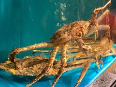 水产区-蟹田居·活蟹料理(东城店)