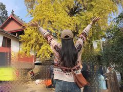 -金堂县云顶石城风景区