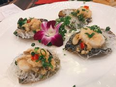 带子-御膳粥·牛乳粥底火锅·地道顺德菜(容桂店)
