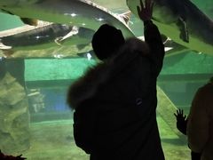 -重庆欢乐海底世界