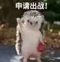 -秃鹫湾·推理大师沉浸式实景演绎推理剧场