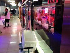-中环花鸟鱼虫市场