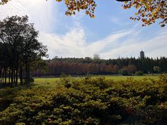 -宜兴龙背山森林公园