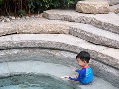 -西安华清御汤酒店