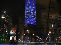 -黄浦江游览快线(金陵东路码头)