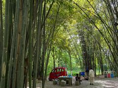 -桤木河湿地公园