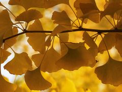 -上海交通大学(闵行校区)