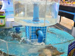 -海旺小海鲜大排档(冠亚星城店)