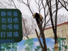 -秦皇岛野生动物园
