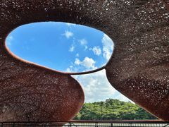 -东寨港红树林旅游区