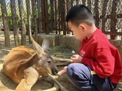-大连森林动物园