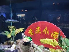 -重庆欢乐海底世界
