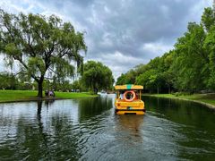 -上海共青森林公园