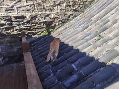 -碧中海汤泉汗蒸酒店