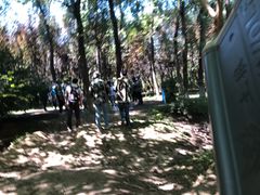 -亲兄弟真人CS团建拓展基地