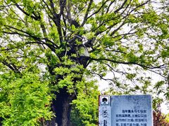 -东台西溪天仙缘景区