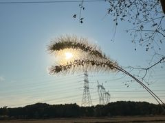 -嘉北郊野公园