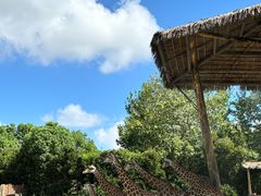 -上海野生动物园