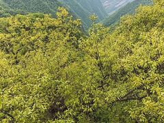 -塔云山