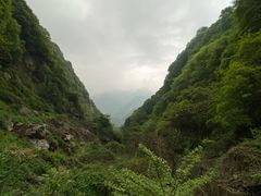 -沣峪口