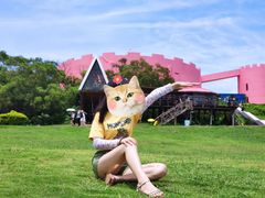 -漳州滨海火山岛自然生态风景区