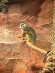 -Zoolung Zoolung动物主题公园(海信广场店)