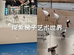 -盐城丹顶鹤湿地生态旅游区