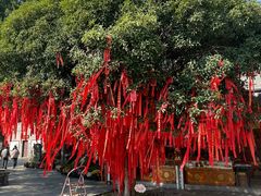 -东钱湖小普陀景区