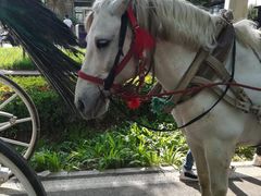 -辛玛王国游乐园