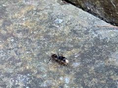 -南国桃园旅游度假区