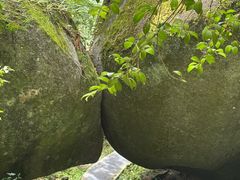 -大围山国家森林公园