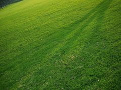 -重庆中央公园(渝北区)