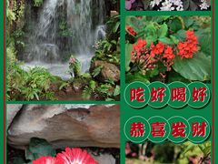 -中国科学院华南植物园