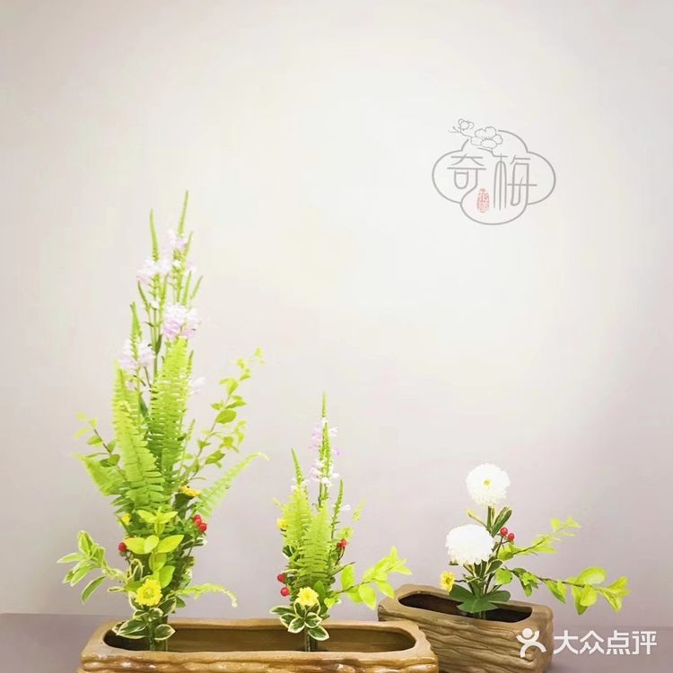 插花要知道的花材类型——线条型花材