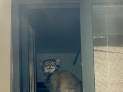 -青藏高原野生动物园
