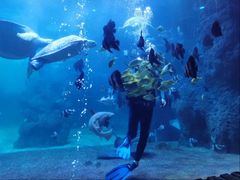 -左海海底世界