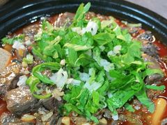 -老桥张羊肉