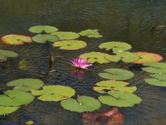 -星巴克(深圳前海企业公馆店)