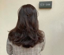 -飞梵造型