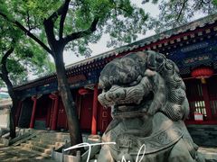 -北京第二实验小学