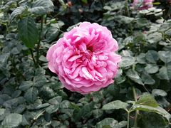 -人民公园(罗湖区)