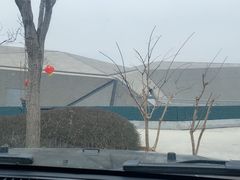 -北京周口店北京人遗址博物馆